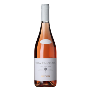 Clément & Florian Berthier Coteaux du Giennois Rosé