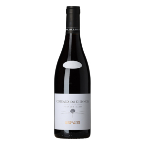 Clément & Florian Berthier Coteaux du Giennois Rouge