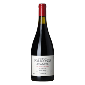 Zuccardi Polgonos San Pablo Cabernet Franc