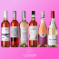 Vinhandlerens Ros&eacute;favoritter billede 2