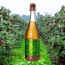 Must Ingrid Marie Sparkling Apple Must billede 2