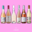 Vinhandlerens Eksklusive Ros�favoritter billede 2