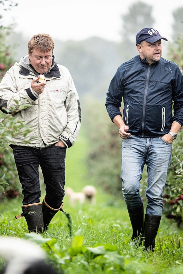 Spr�d, s�d og forf�rende som en friskbidt �blekage. Aroma er et af Skandinaviens mest elskede �bler � med honningagtig s�dme, frisk syre og smag af blidt syrlig �blemos. Kombinationen af for�ldresorterne Filippa og Ingrid Marie giver b�de finesse og friskhed i perfekt harmoni.